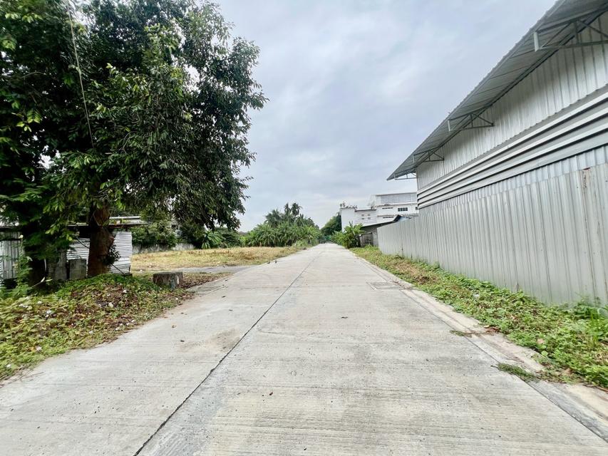 ขายที่ดิน 1 ไร่ 3 งาน 64 ตร.ว. ซอยปุณณวิถี 39 ใกล้ ถนนสุขุมวิท 3