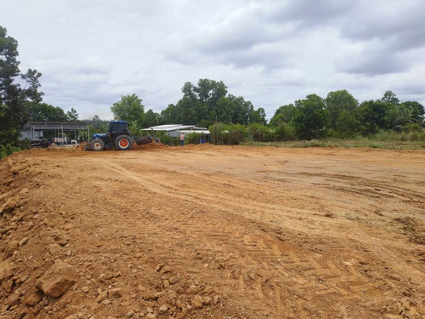 ขายที่บ่อวิน205ตรว.ใกล้อีสเทิร์นซีบอร์ด 7