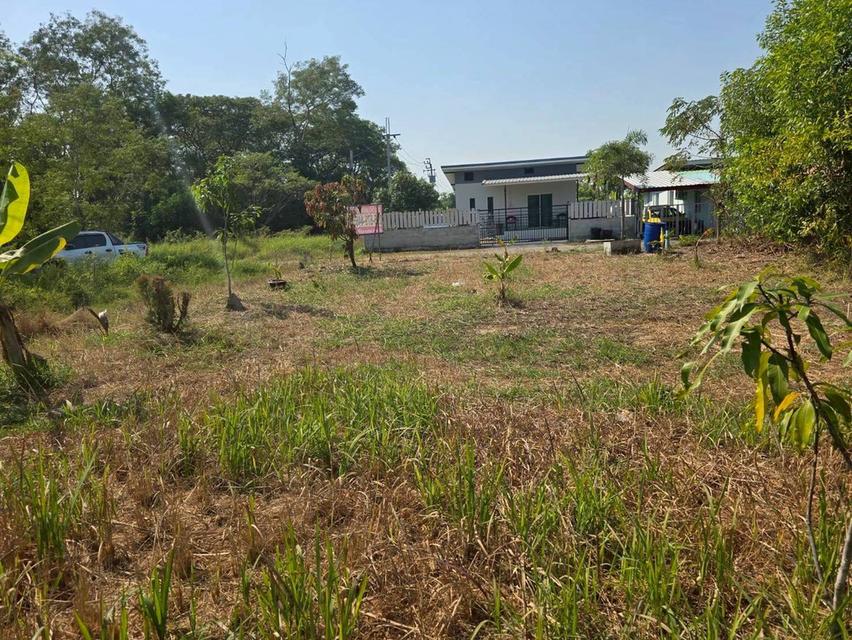 ขายด่วนที่ดิน 63 ตรว ติดถนนสาธารณะ ประชาสำราญ1 แขวงคลองสิบสอง เขตหนองจอก กทม. 8