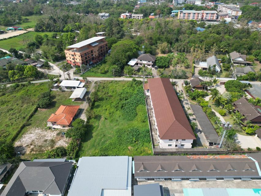 ขายที่ดินทำเลดี บริเวณซอยหลิ่งมื่น หลังมหาวิทยาลัยแม่โจ้ เชียงใหม่ 4