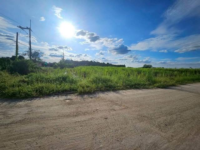 ขายที่ดินสวยพนัสถูกที่สุดในย่านนี้ ขายที่ดิน 47 ไร่ 40 ตารางวา ผังสีเหลือง ต.ทุ่งขวาง อ.พนัสนิคม จ.ชลบุรี 1