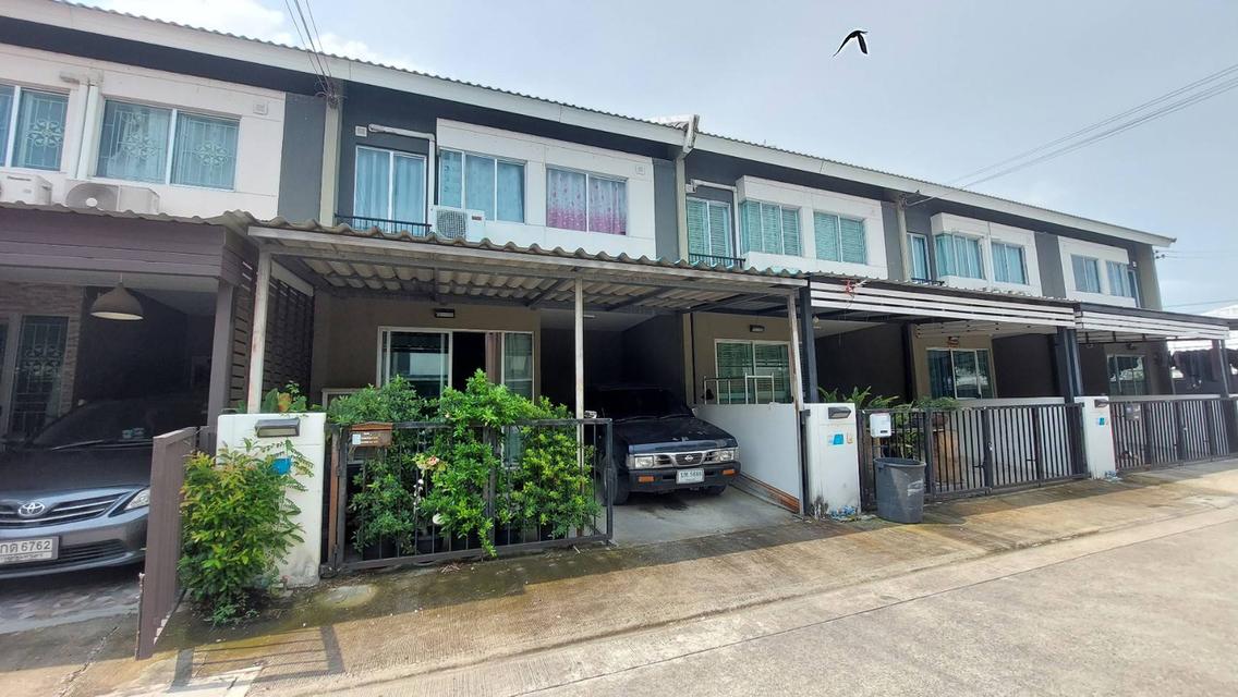 ขายหมู่บ้านพฤกษา130 หนองจอก-สุวินทวงศ์ ลดราคาเหลือ 1.55 ล้าน (N.715) 1