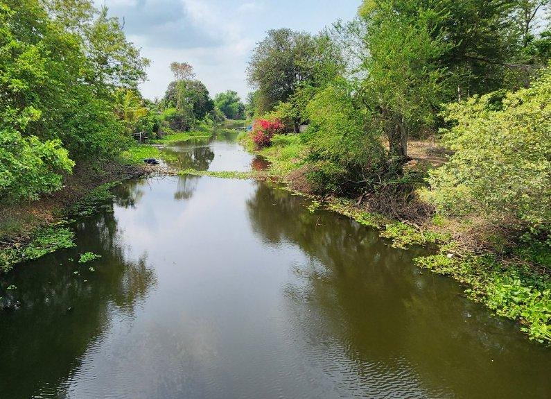 ขายที่ดินวังตะเคียน 53 ไร่ ซอยหลังแม็คโคร ติดคลอง ใกล้ถ.สุวินทวงศ์304-1กม. อ.เมืองฉะเชิงเทรา 5