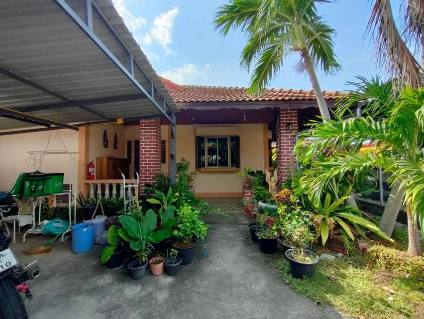 บ้านและห้องแถวให้เช่า 11