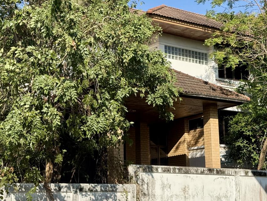 ขายบ้านเดี่ยว 2 ชั้น หมู่บ้านกรีนวัลเล่  อำเภอบางพลี  จังหวัดสมุทรปราการ 5