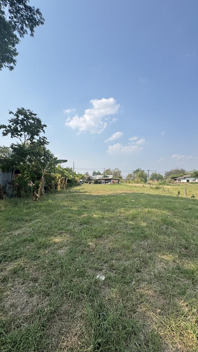 ที่ดินพร้อมเซ้งกิจการต่อได้เลย ร้านส้มตำไก่ย่าง ร้านเป็นที่นิยม หรือเหมาะสร้างห้องพัก ห้องเช่า ทำกิจการ 11