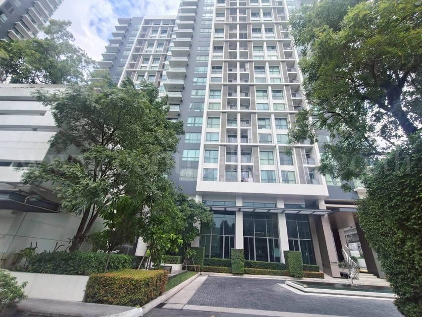 ให้เช่าคอนโด เดอะรูม สุขุมวิท 62 ห้องสวย พร้อมอยู่ ใกล้รถไฟฟ้า BTS ปุณณวิถี 9