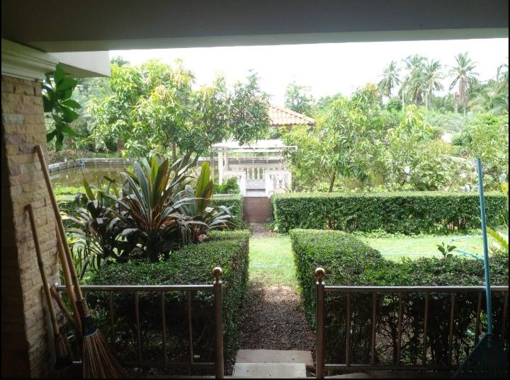 บ้านสวนสวยพร้อมอยู่บนเนื้อที่ 3 ไร่เศษบรรยากาศดีการเดินทางสะดวกใกล้จุดขึ้น-ลงทางด่วน M82 บ้านแพ้ว สมุทรสาคร ปลูกผลไม้เ็มพื้นที่เก็บกินได้ตลอดปี 10 ล. รูปที่ 9
