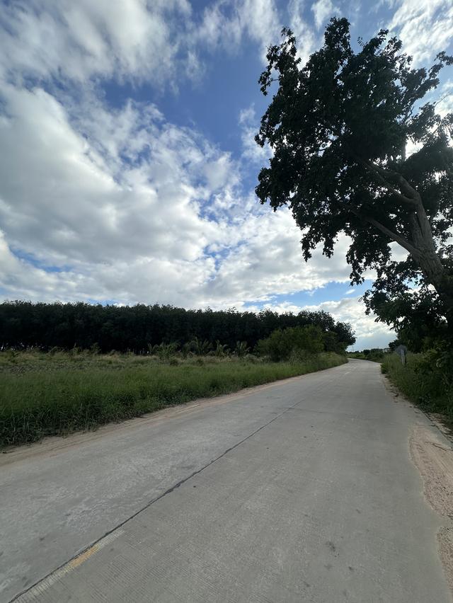 ที่ดินใกล้นิคมอีสเทิร์นซีบอร์ด ชลบุรี-บ่อวิน 3