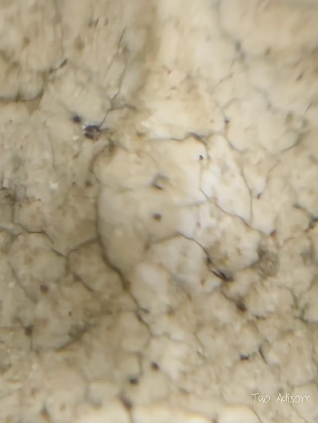 พระสมเด็จวัดระฆังโฆสิตาราม 8