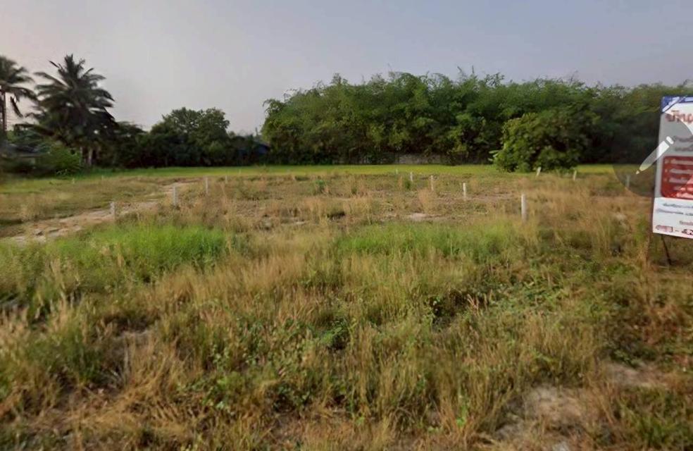 ขายด่วน! ที่ดินถมแล้ว 2 แปลง 100 ตรว./แปลง  ทำเลทอง ใกล้เมืองกำแพงเพชร น่าลงทุน หรือ สร้างบ้านอาศัย!  5