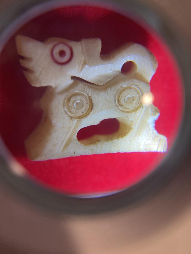 威猛的狮子 4