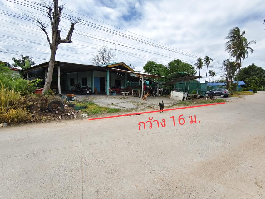 ขายบ้านพร้อมที่ดิน 100 ตรว. บึง อ.ศรีราชา 1