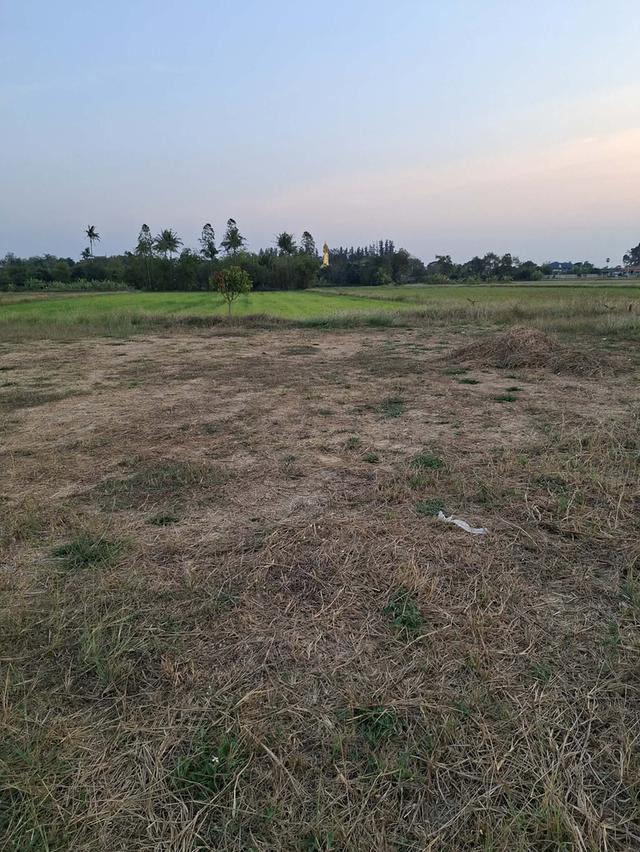 ขายที่ดิน 7 ไร่ 2 งาน 43 ตารางวา ต ท่าผา อ บ้านโป่ง จ ราชบุรี 5