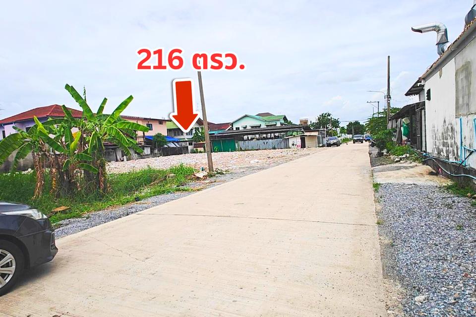 ขายที่ดินอ่อนนุช74/1 ซอยพัฒนาการ82  6