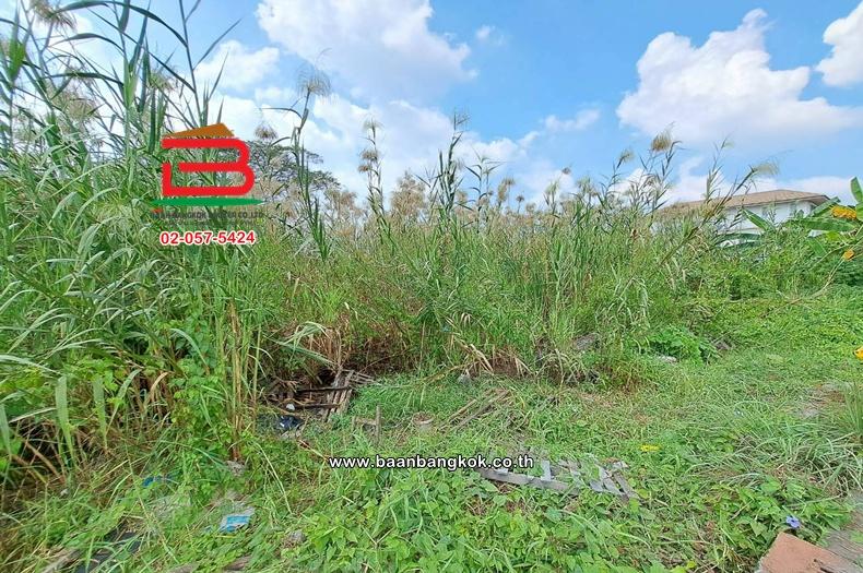 ที่ดินเปล่า เนื้อที่ 210 ตร.ว. หมู่บ้านเปรมวดี (พุทธมณฑลสาย 3 ซอย 19) ถนนพุทธมณฑลสาย 3 แขวงบางระมาด เขตตลิ่งชัน 4