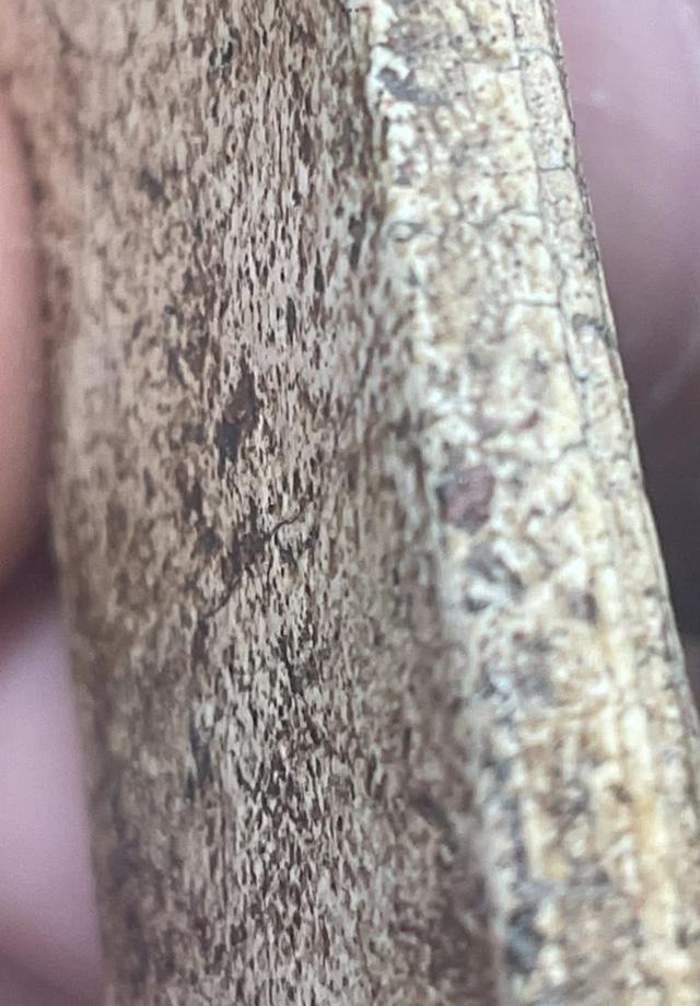 พระสมเด็จทันยุคของแท้ 5