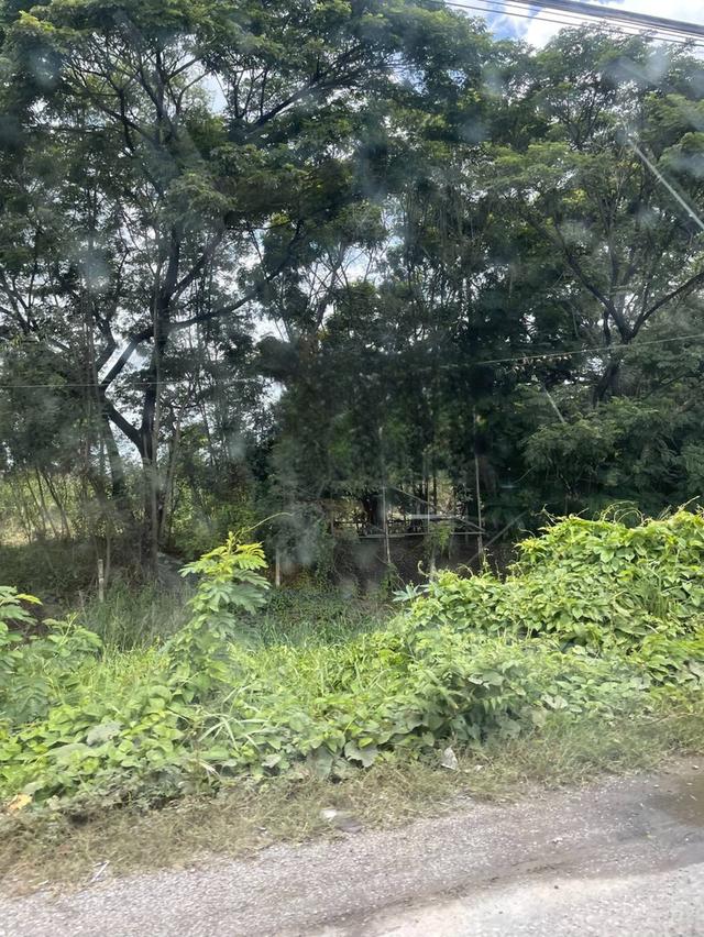 ขายที่ดิน 62 ไร่ อ.วังน้อย ติดถนนพหลโยธิน ขาเข้า 1