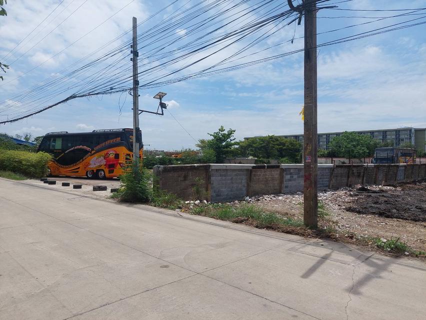  ให้เช่าที่ดินซอย หงสกุล (คลองหลวง 21) ระยะยาว ถมแล้ว แปลงสวย เหมาะสำหรับ ทำโรงงาน S 5