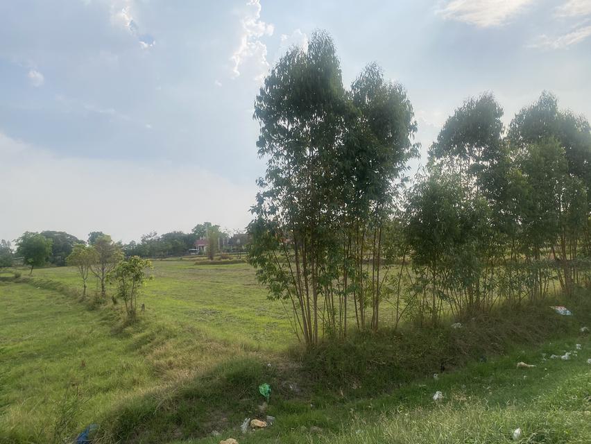 ที่ดินปล่าว6ไร่ขาย3,600,000 7