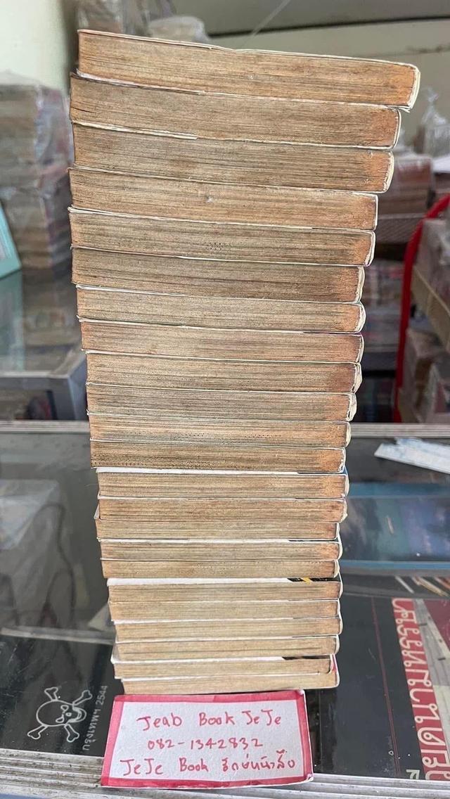 หนังสือการ์ตูน เจ้าหญิงนักล่าผีดิบ 1-23 จบ