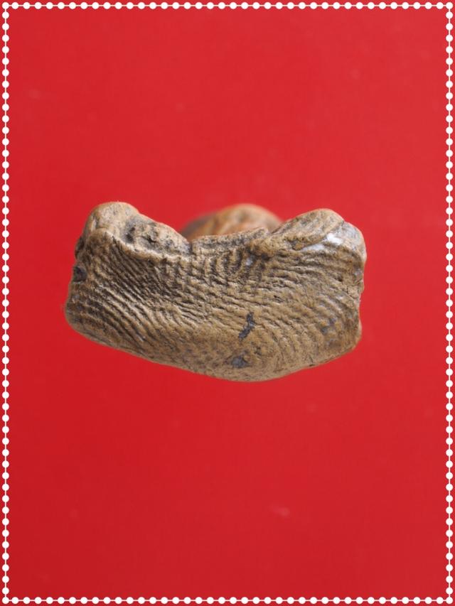 v75.ฤาษี พระเครื่อง 3