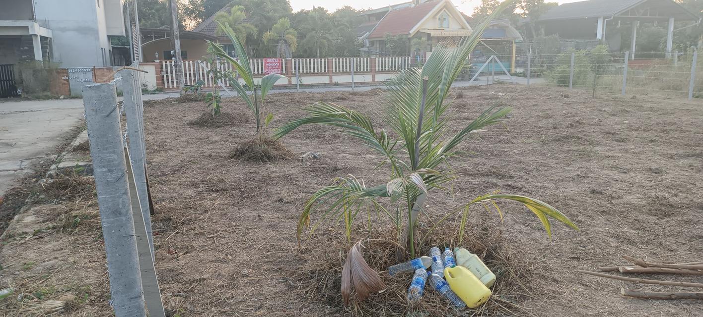 ขายที่ดิน ต้นเปา สันกำแพง เชียงใหม่ 108 ตร.วา ใกล้เมือง ทำเลดี 22,000 บาท/ตร.วา 8