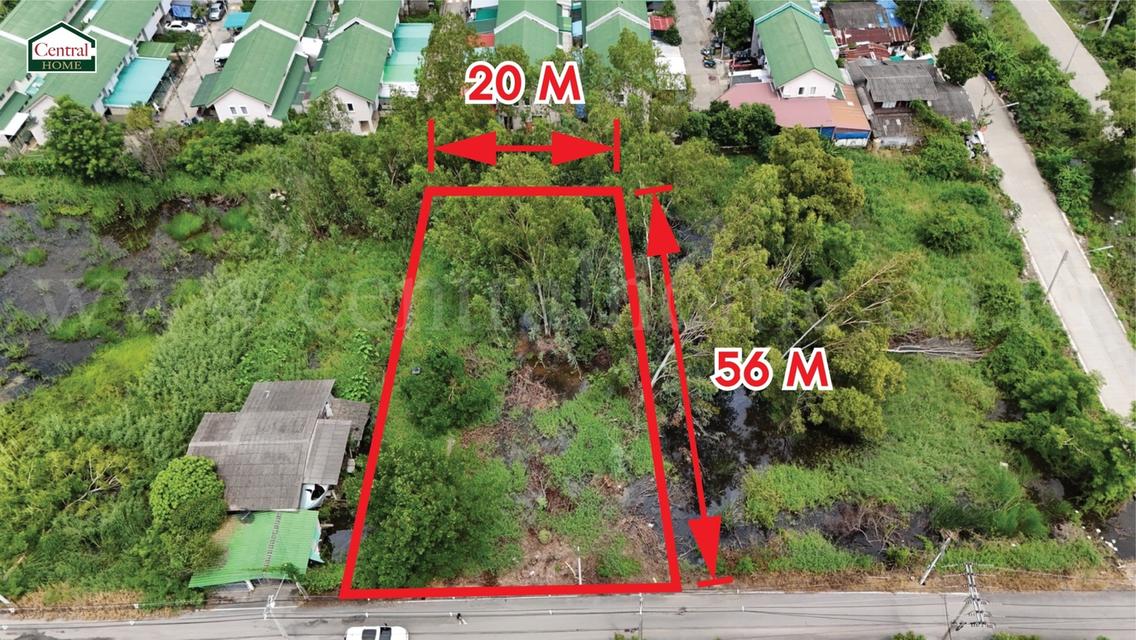 ที่ดินเปล่า 285 ตร.วา ซอยบงกช 55 คลอง 2 ปทุมธานี 4