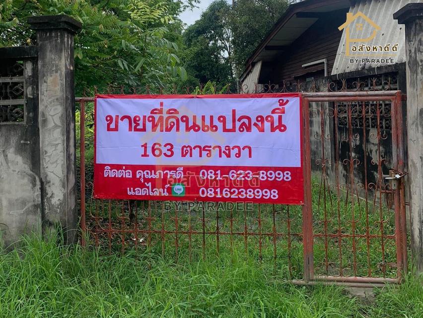 ขายถูกที่ดินเปล่าแปลงเล็ก 163 ตร.ว. ซ.เฉลิมพระเกียรติ ร.9 38  7