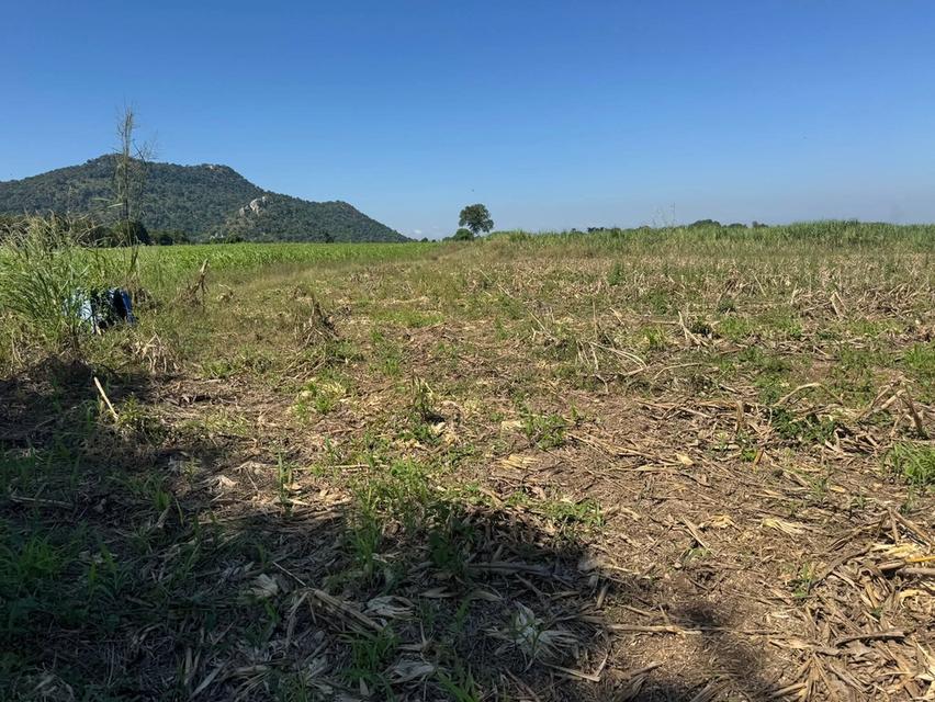 โฉนดครุฑแดง 11 ไร่ วิวเขากะลา ราคาไม่แรง ล้านสองเอาไปเลยยย 2