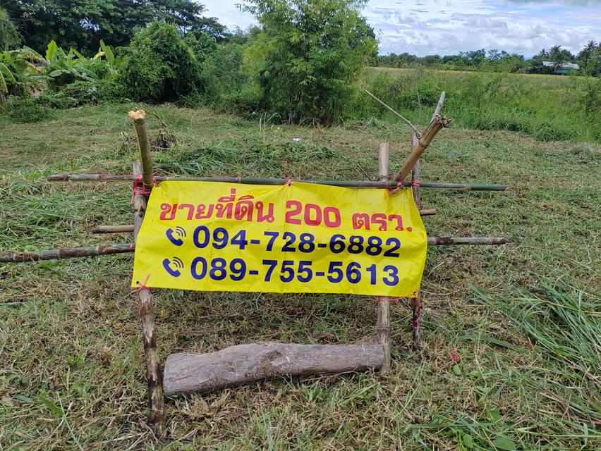 ขายที่ดินวิวสวยเชียงใหม่คันคลอง-เส้นเลี่ยงเมืองสันป่าตอง 1