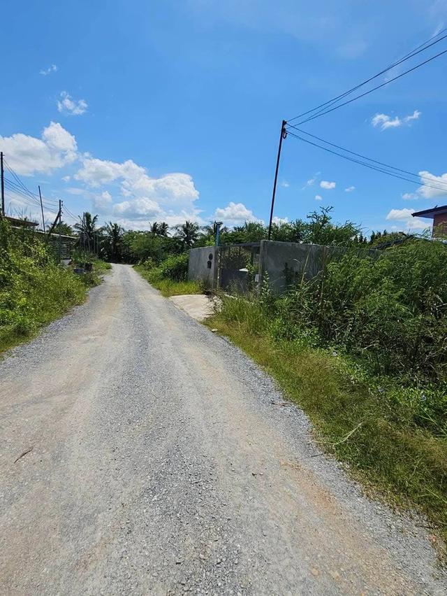 ขายที่ดินโครงการศาลายาการ์เด้น28 3