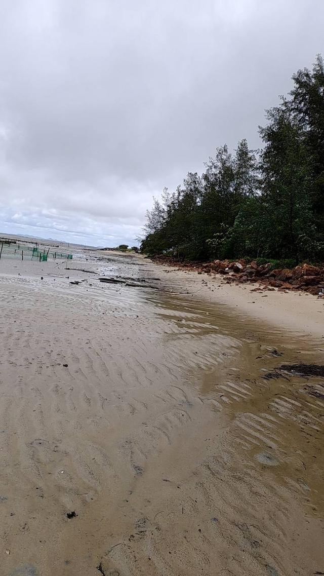 ขายเกาะและที่ดินติดชายหาดส่วนตัว 23 ไร่ ที่แหลมกลัด จ.ตราด ราคาสุดคุ้มเพียง 92 ล้านบาท 6