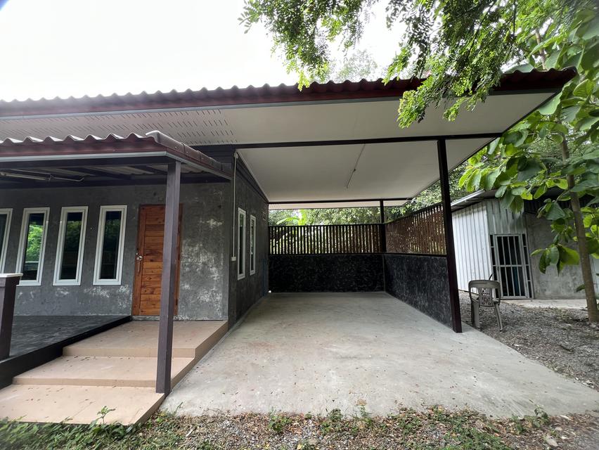 ให้เช่าบ้านเดี่ยวชั้นเดียว 30 ตร.ว. 1 ห้องนอน 1 ห้องน้ำ บ้านในสวน ร่มรื่น อำเภอเดิมบางนางบวช จ.สุพรรณบุรี 2