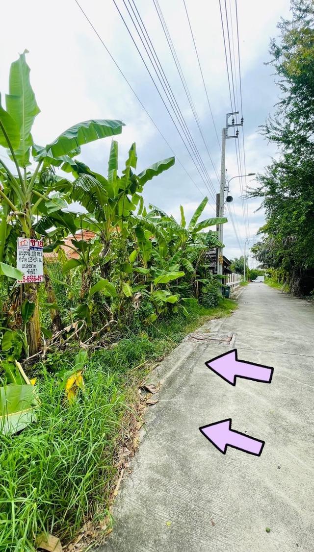 ขายที่ดินถนนเทพารักษ์ ซอยกู้พาราฝั่งใต้ 5
