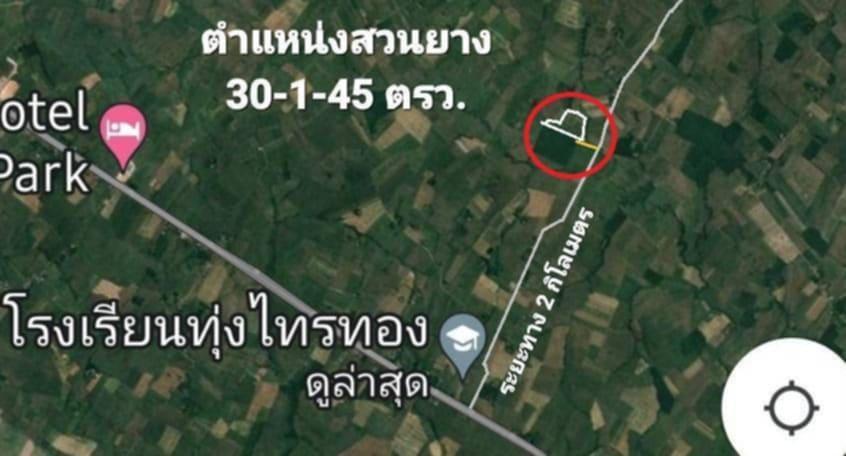 ขายที่ดินสวนยางพารา 30 ไร่ จ.ตรัง 5