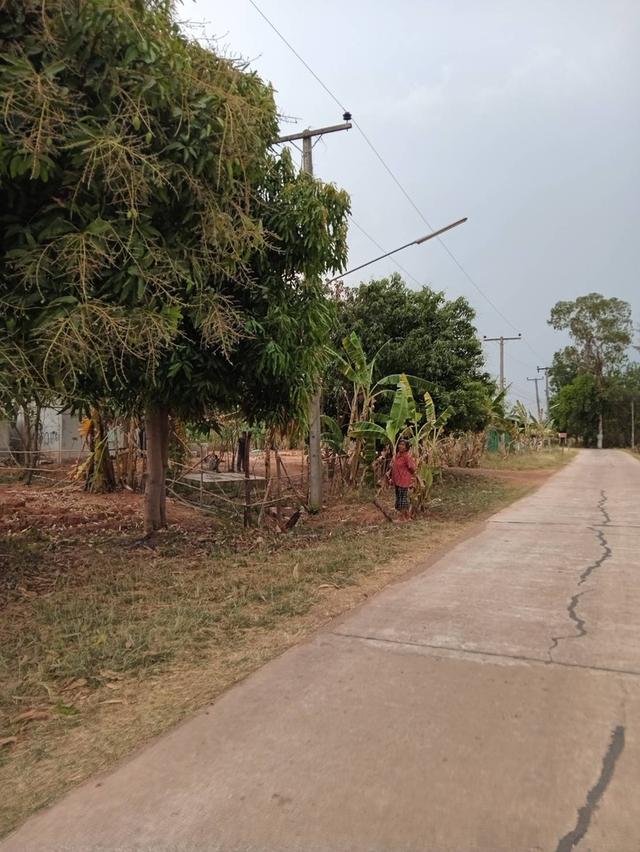 ขายที่ดิน ต.โนนเมือง อ.ขามสะแกแสง นครราชสีมา