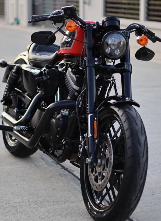 2019 Harley Davidson Roadster 1200