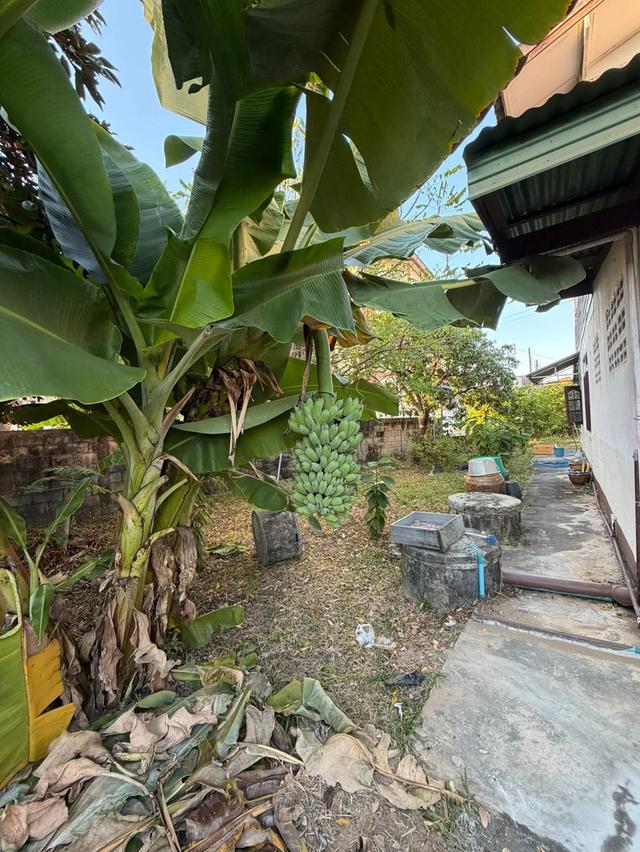 ขายบ้านพร้อมที่ดินในจังหวัดอุดรธานี รูปย่อยที่ 4