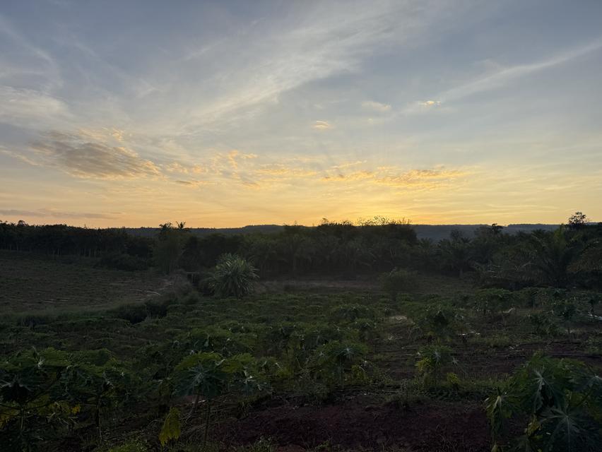 ขายที่ดิน พร้อมที่พักอาศัย 3