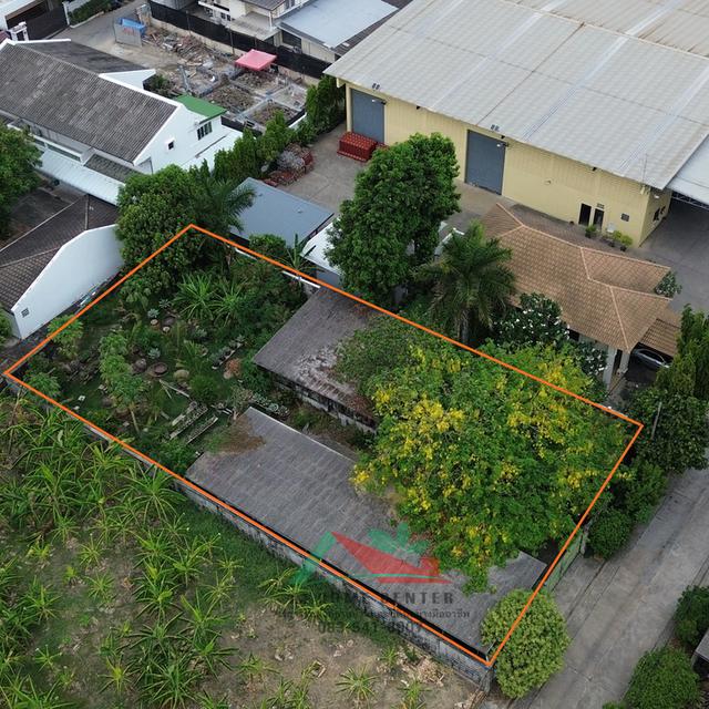 ที่ดินเปล่า191ตรว. ซ.อ่อนนุช14  4