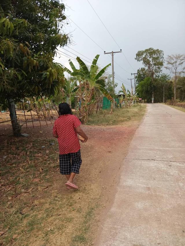 ขายที่ดิน ต.โนนเมือง อ.ขามสะแกแสง นครราชสีมา