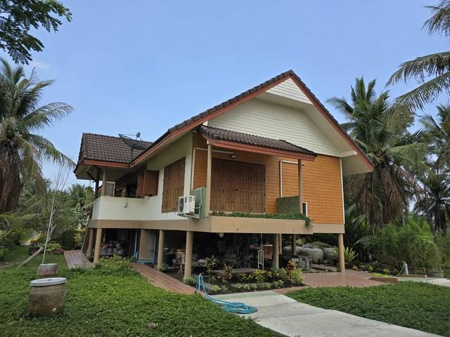 บ้าน บ้านเดี่ยว ท่าคา อัมพวา 50000 B. 2ห้องนอน2BATHROOM พ.ท. 353 Square Wah ราคาดีเยี่ยม สมุทรสงคราม 2