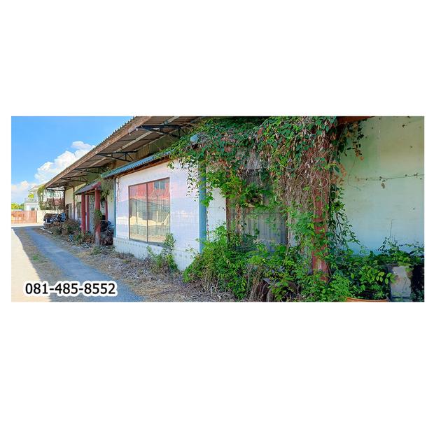 ขายโรงงานโกดัง นครปฐม อ.บางเลน 300 ตร.วา 3.2 ล้านบาท 2