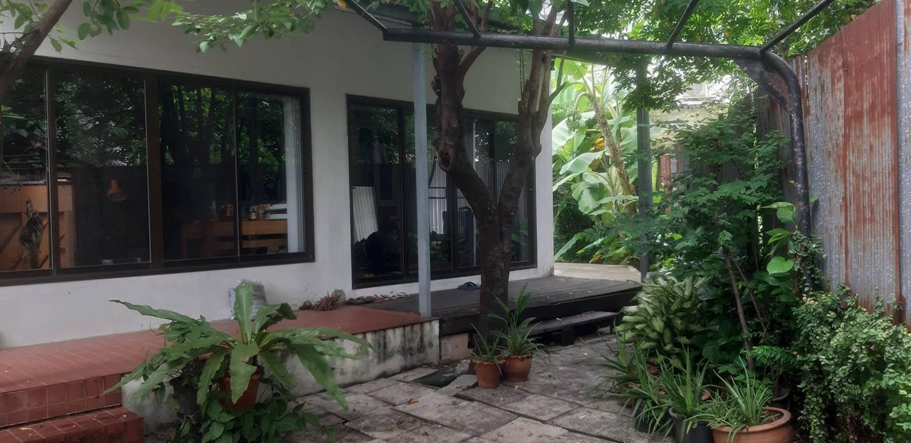 ขายด่วน! ที่ดินพร้อมบ้าน 180.8 ตร.วา ใกล้ MRT 5