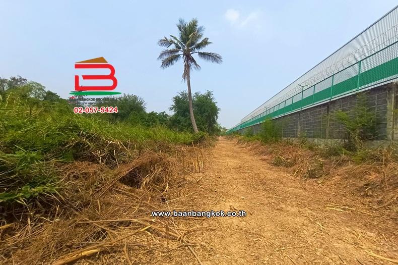 ที่ดินเปล่า เนื้อที่ 4 ไร่ ใกล้ปั้มปตท. ม.12 คูบางหลวง ถนนราชพฤกษ์ ตำบลคูบางหลวง อำเภอลาดหลุมแก้ว จังหวัดปทุมธานี 3