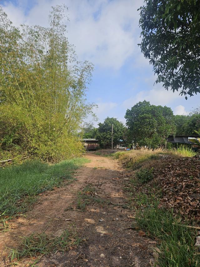 ที่ดินติดริมแม่น้ำ ปราจีนบุรี 9