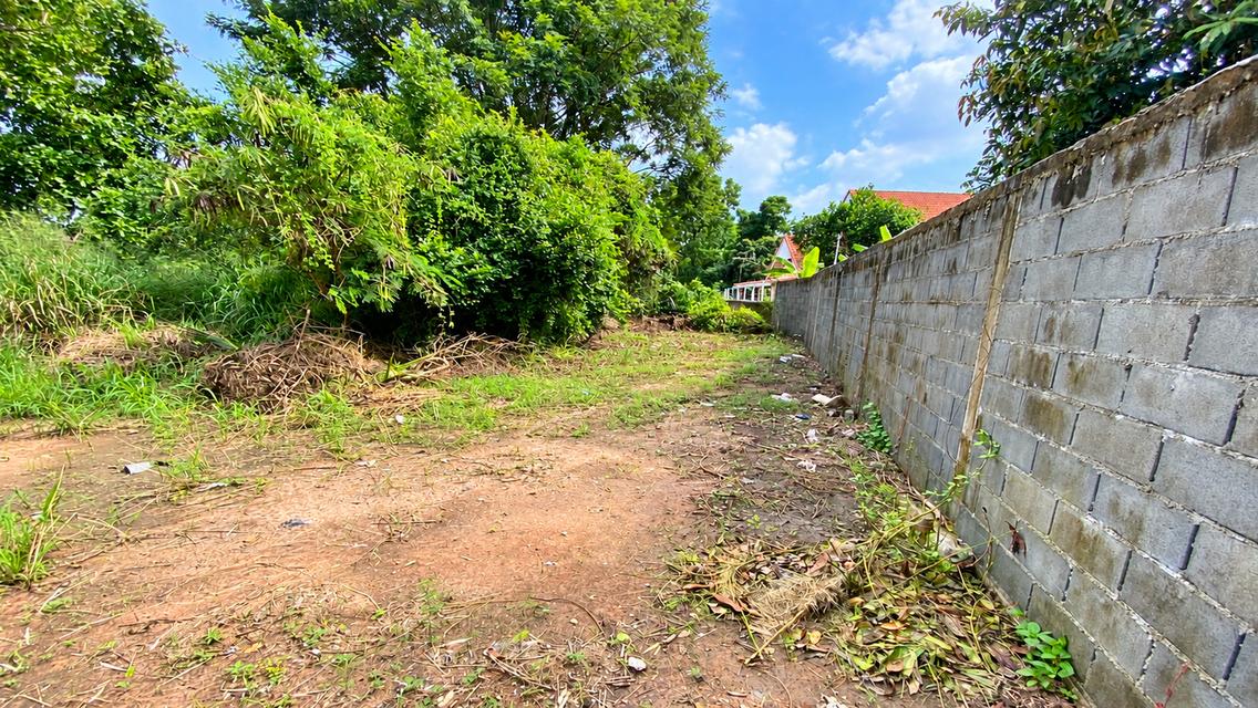 ขายที่ดินถมแล้ว 166 ตร.ว. ทับมา ระยอง ใกล้โกลบอลเฮ้าส์ ไฟฟ้าและประปาผ่านหน้าแปลง 8