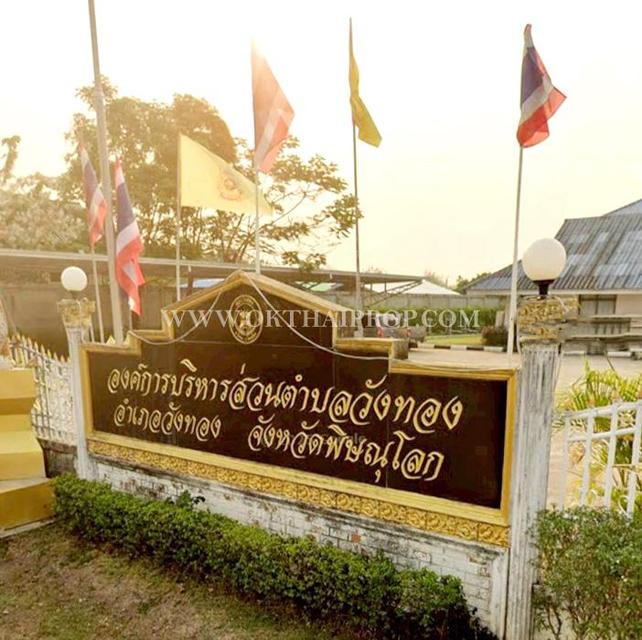 ที่ดิน ใกล้ถนนพิษณุโลก-หล่มสัก อ.วังทอง จ.พิษณุโลก 13