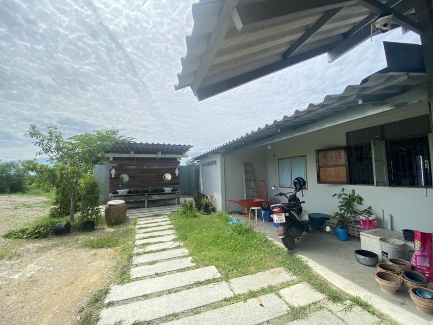 ขายร้านข้าวแกงพร้อมบ้าน 7